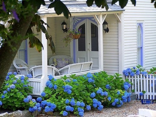 http://www.countryfarm-lifestyles.com/image-files/country-living-cottage-garden.jpg