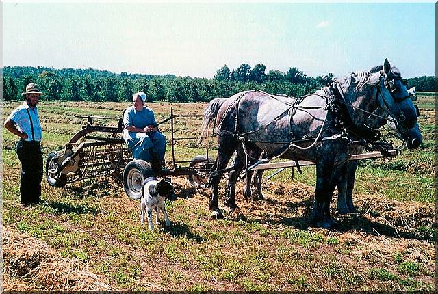 The Amish Way of Life and Culture - Everything you Wanted ...