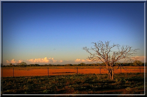 Australian Farming