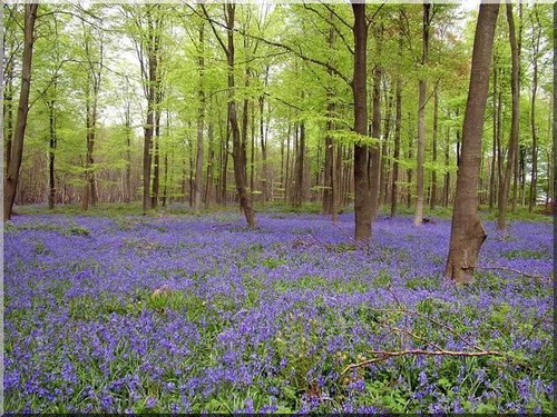 England Spring