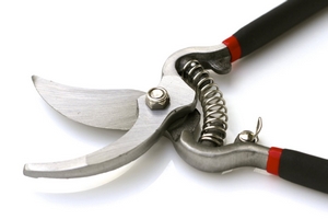 Open pruning shears