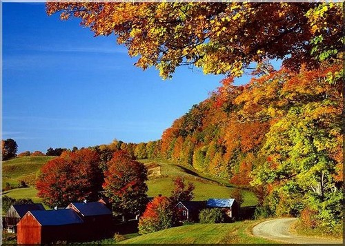 USA in the fall with trees and a farmhouse and barns