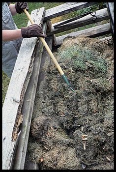 making a compost heap
