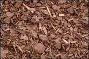 bark mulch