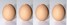 4 eggs to denote quantity of egg laying