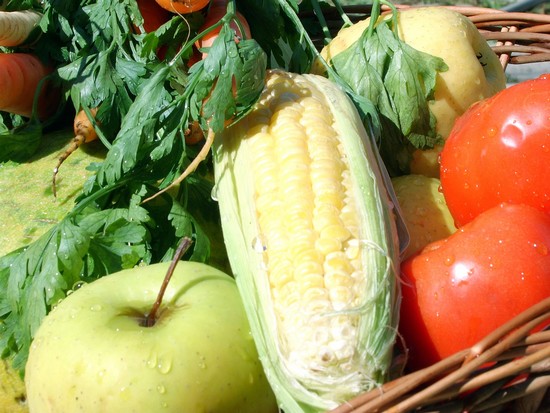 newly washed growing organic vegetables in a homemade willow basket