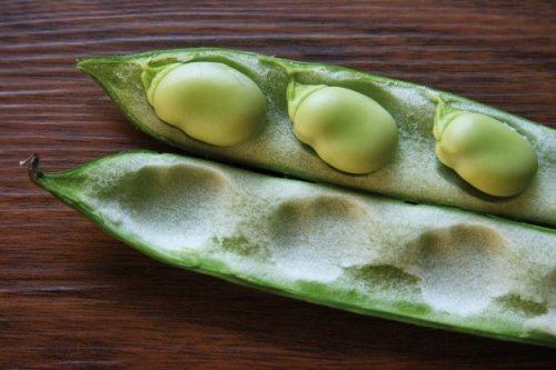 3 broad beans in a pod