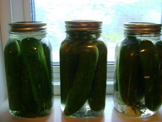 pickled cucumbers