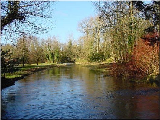 A river in rural Berkshire, UK