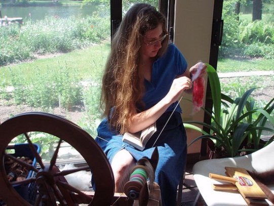 a young handspinner teasing out the fleece while sitting at her spinning wheel