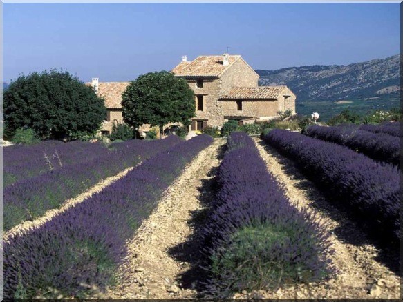 All farmhouses like this one need house insurance.