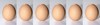 6 eggs to denote quantity of egg laying