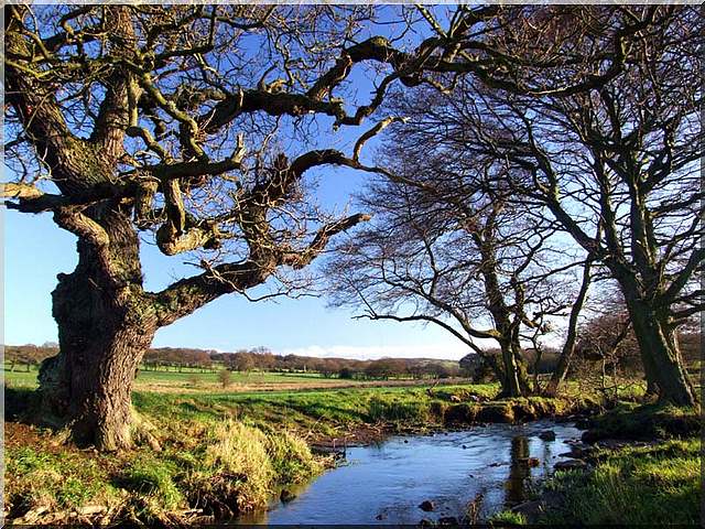 County Durham Countryside County Durham Countryside