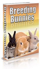 Breeding rabbits for profit ebook