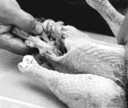 removal of chickens intestines during home butchering