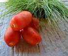 Canning tomatoes thumbnail