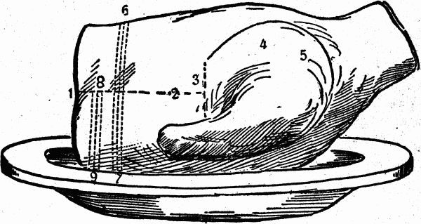 carving a lamb forequarter with image