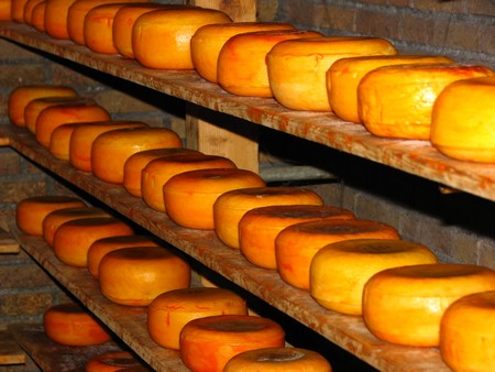 cheese rounds on a shelf