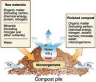 how to make compost thumbnail