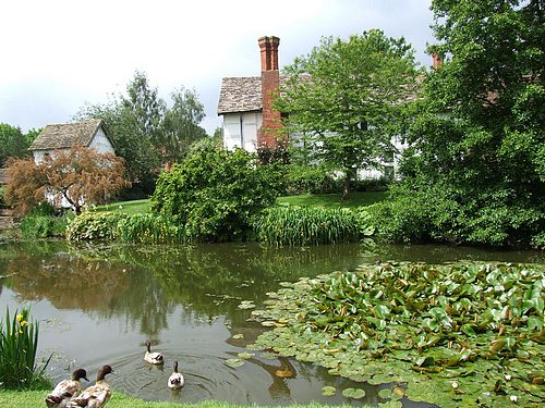 A country home with a pond and some ducks