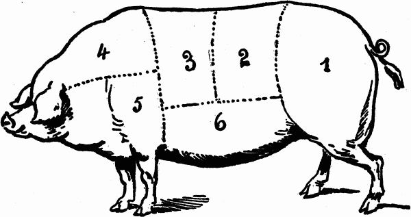 cuts of meat - pork butchering