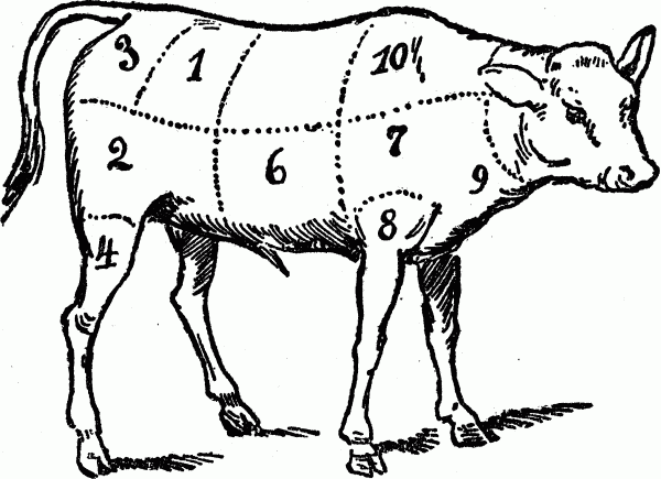 cuts of meat - veal butchering