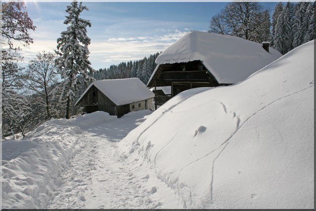 A Farm in Maine in Winter