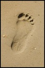 Ecological footprint thumbnail