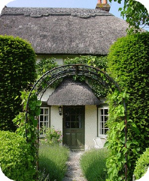 An English country garden with lavender and bay hedges.