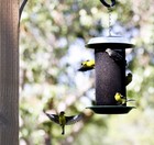 A bird feeder hanging from a tree with birds feeding.