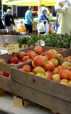 Harbour East Farmers' Market