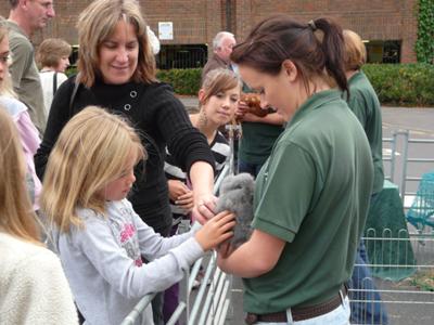 visit by The Farm To You to Hempstead Valley farmers market 