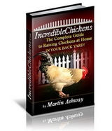 incredible chickens ebook