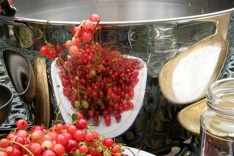 redcurrants, a bowl and sugar ready to make jelly recipes