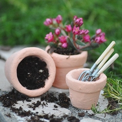 mini garden tool set and some pots
