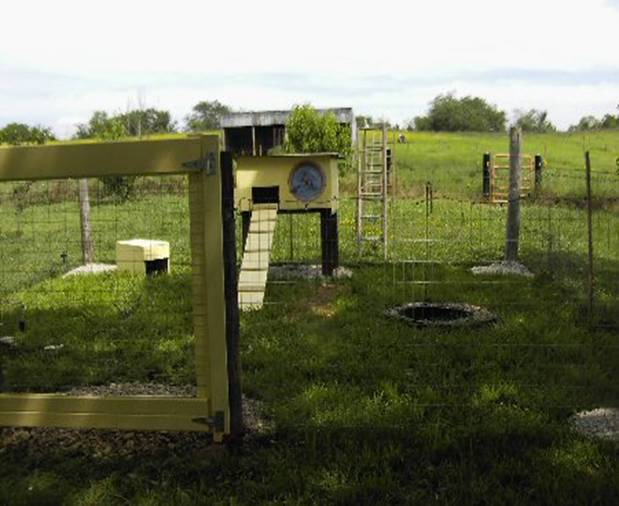 a fenced rabbit pen showing a hutch with a ladder