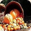 organic products online