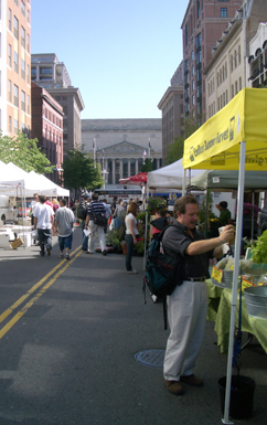 Penn Quarter Farmers' Market