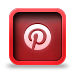 Pinterest Social Icon for www.countryfarm-lifestyles.com