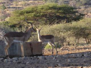 prince's hill farm limpopo accommodation