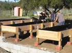 Raised bed gardening