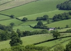 Rural Living thumbnail