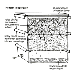 a cross-section diagram showing a worm farm operation