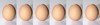 6 eggs to denote quantity of egg laying