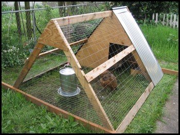 An A-frame chicken coop