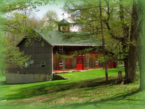 An American Barn in surrounding pasture.