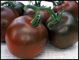 Blach Russian Heirloom Tomato