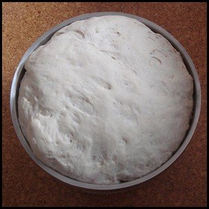 Bread dough in a bowl which has doubled in size