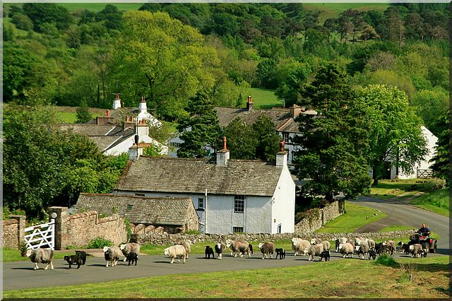 A Farm in Cumberland