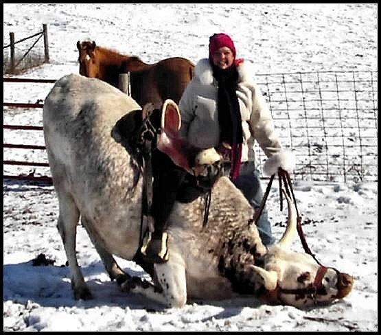 A longhorn steer called Freedom